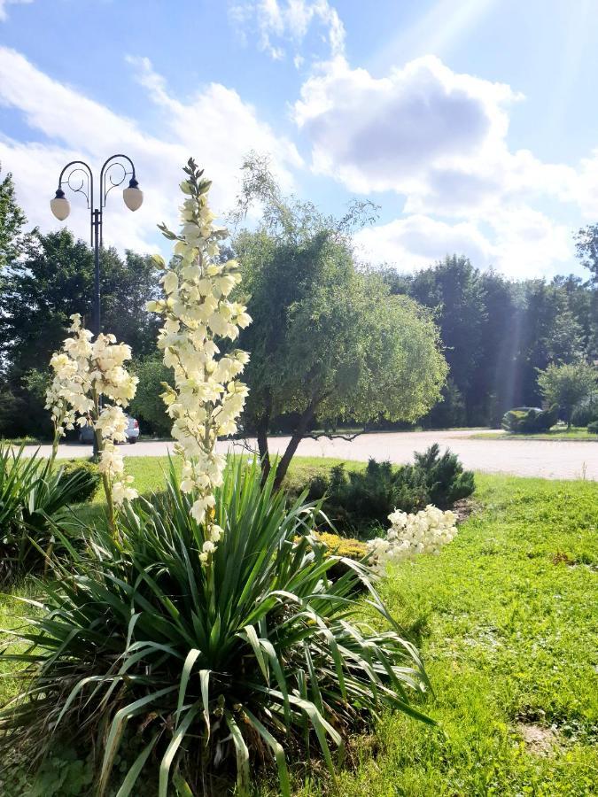 Willa Park Островець-Свентокшиський Екстер'єр фото